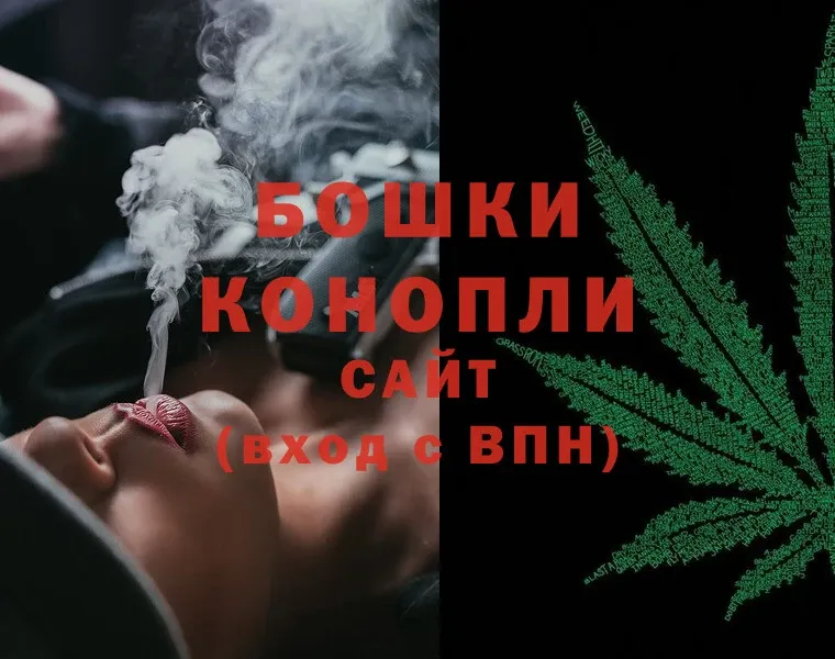 дарк нет телеграм  Высоцк  Шишки марихуана OG Kush 